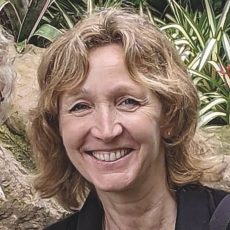 In Focus: Marjolein Rovers