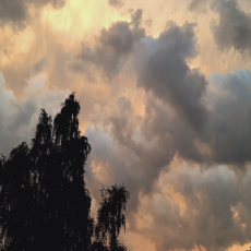 Zondag 17 augustus 11:00 – Ds. Leonora Jagessar, link naar liturgie