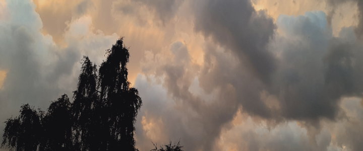 Zondag 17 augustus 11:00 – Ds. Leonora Jagessar, link naar liturgie