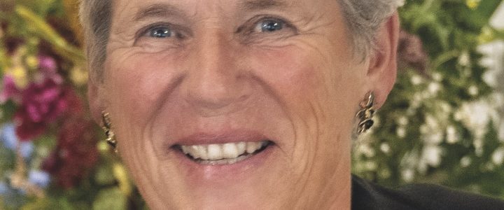 In Focus: Suzanne Hillen