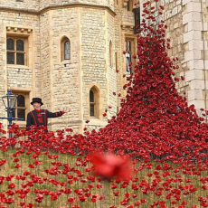 Zondag 9 november 11:50 – Remembrance Sunday Zondag 9 november 11:50 – Remembrance Sunday