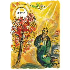 Zondag 16 november 11:00 – Ds. Leonora Jagessar & liturgie Zondag 16 november 11:00 – Ds. Leonora Jagessar & liturgie