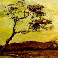 Wek mijn Zachtheid weer – Veertigdagentijd Dag 11 Wek mijn Zachtheid weer – Veertigdagentijd Dag 11