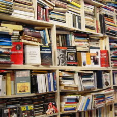 Wek mijn Zachtheid weer – Veertigdagentijd Dag 12 Wek mijn Zachtheid weer – Veertigdagentijd Dag 12