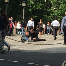 Wek mijn Zachtheid weer – Veertigdagentijd Dag 15