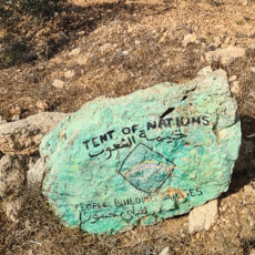 Wek mijn Zachtheid weer – Veertigdagentijd Dag 28 Wek mijn Zachtheid weer – Veertigdagentijd Dag 28