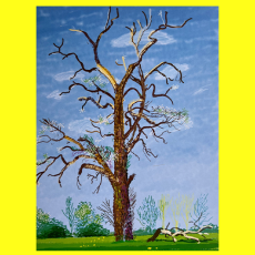 Wek mijn Zachtheid weer – Veertigdagentijd Dag 30 Wek mijn Zachtheid weer – Veertigdagentijd Dag 30