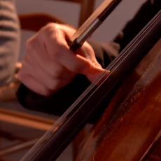 Wek mijn Zachtheid weer – Veertigdagentijd Dag 32 Wek mijn Zachtheid weer – Veertigdagentijd Dag 32