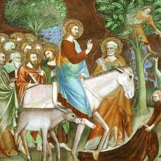 Wek mijn Zachtheid weer – Veertigdagentijd Dag 35 Wek mijn Zachtheid weer – Veertigdagentijd Dag 35