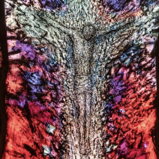 Diensten in de Goede Week