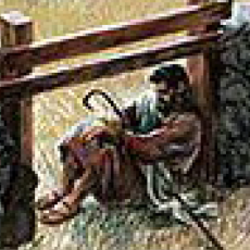 Zondag 26 april 11:00 – Vierde zondag van Paastijd, ds Klaas Koffeman