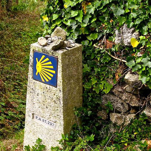 Zondag 6 september 11:00 - 12e zondag van de Zomer